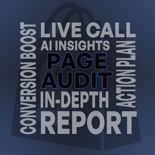 Pagina Audit